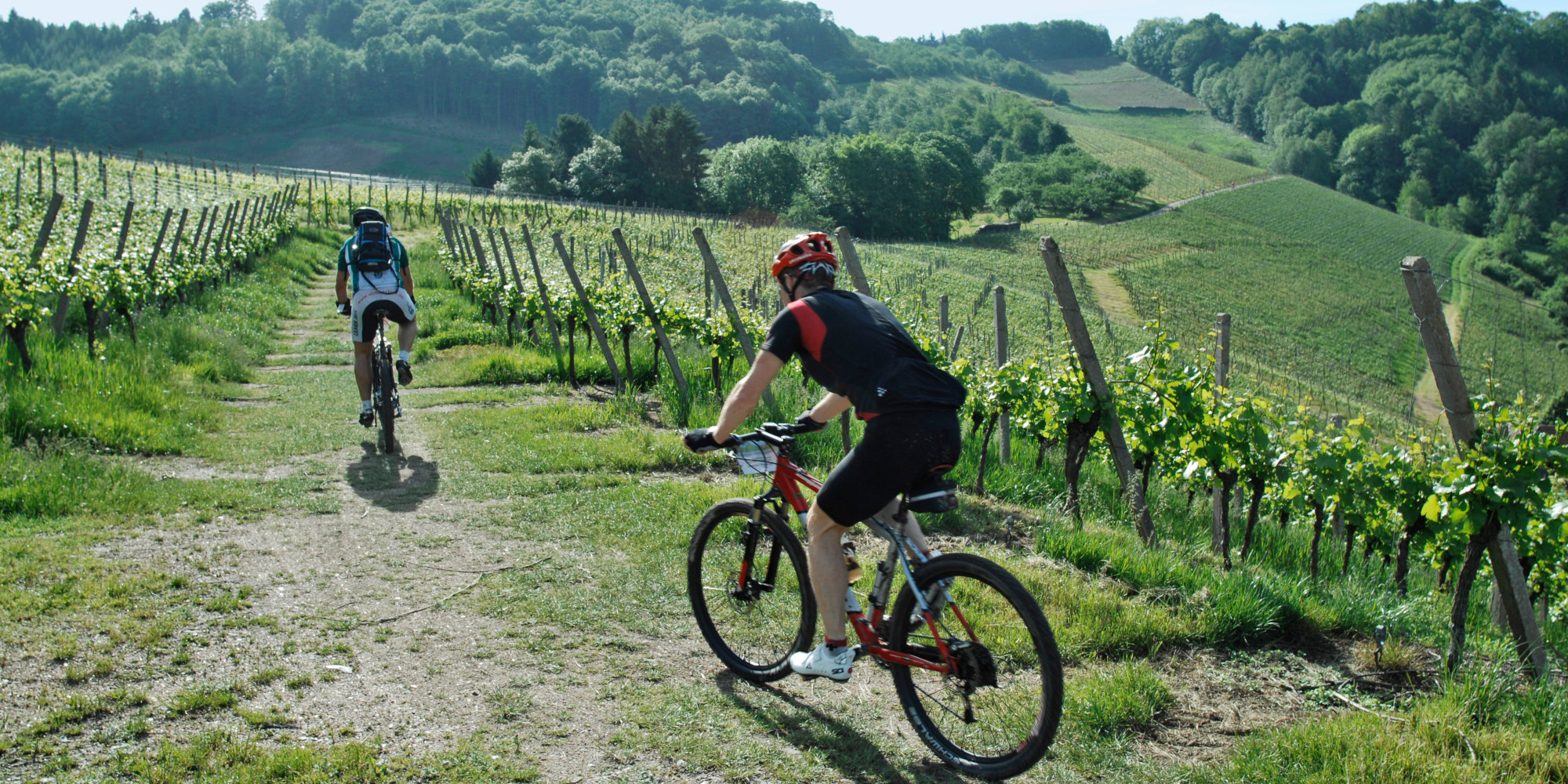 Mountainbiken im Schwarzwald Mountainbiker unterwegs im Schwarzwald