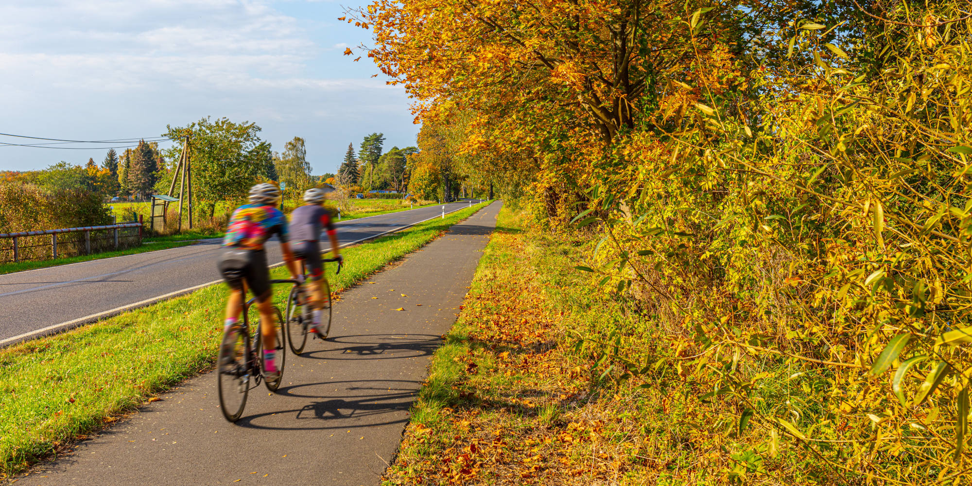 Zwei Radfahrer fahren auf einem Radweg umgeben von bunten Herbstbäumen in Barnim, Brandenburg