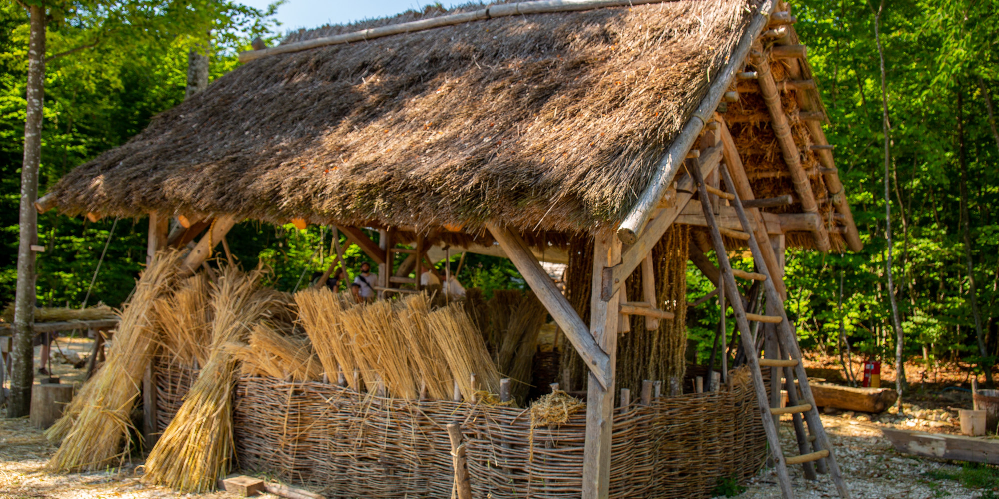 Gebäude mit Reetdach und gebundenem Schilf auf der Klosterbaustelle Campus Galli bei Meßkirch 