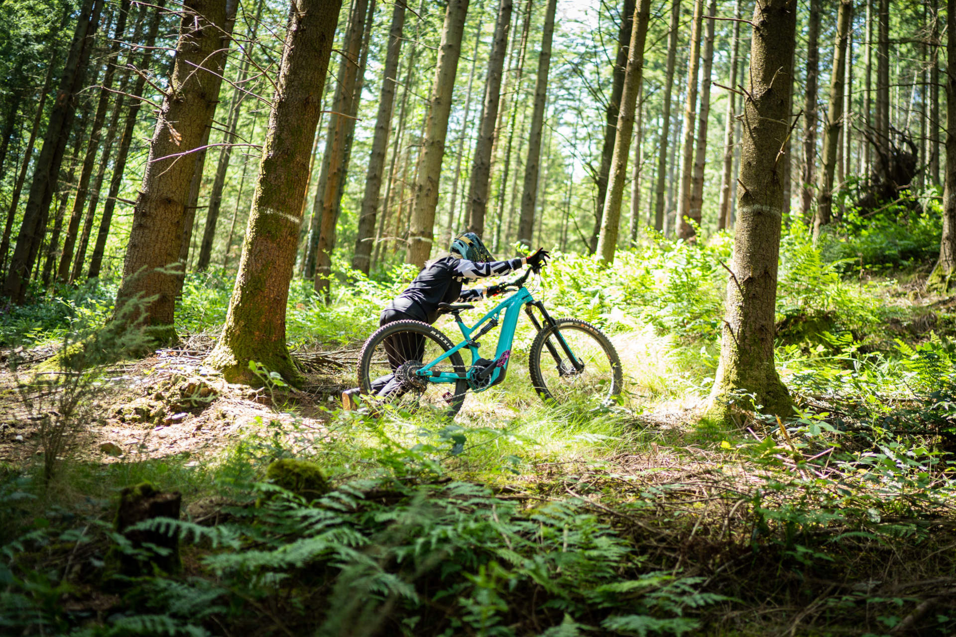 E-Mountainbike von WHYTE Bikes E-Mountainbike von WHYTE Bikes