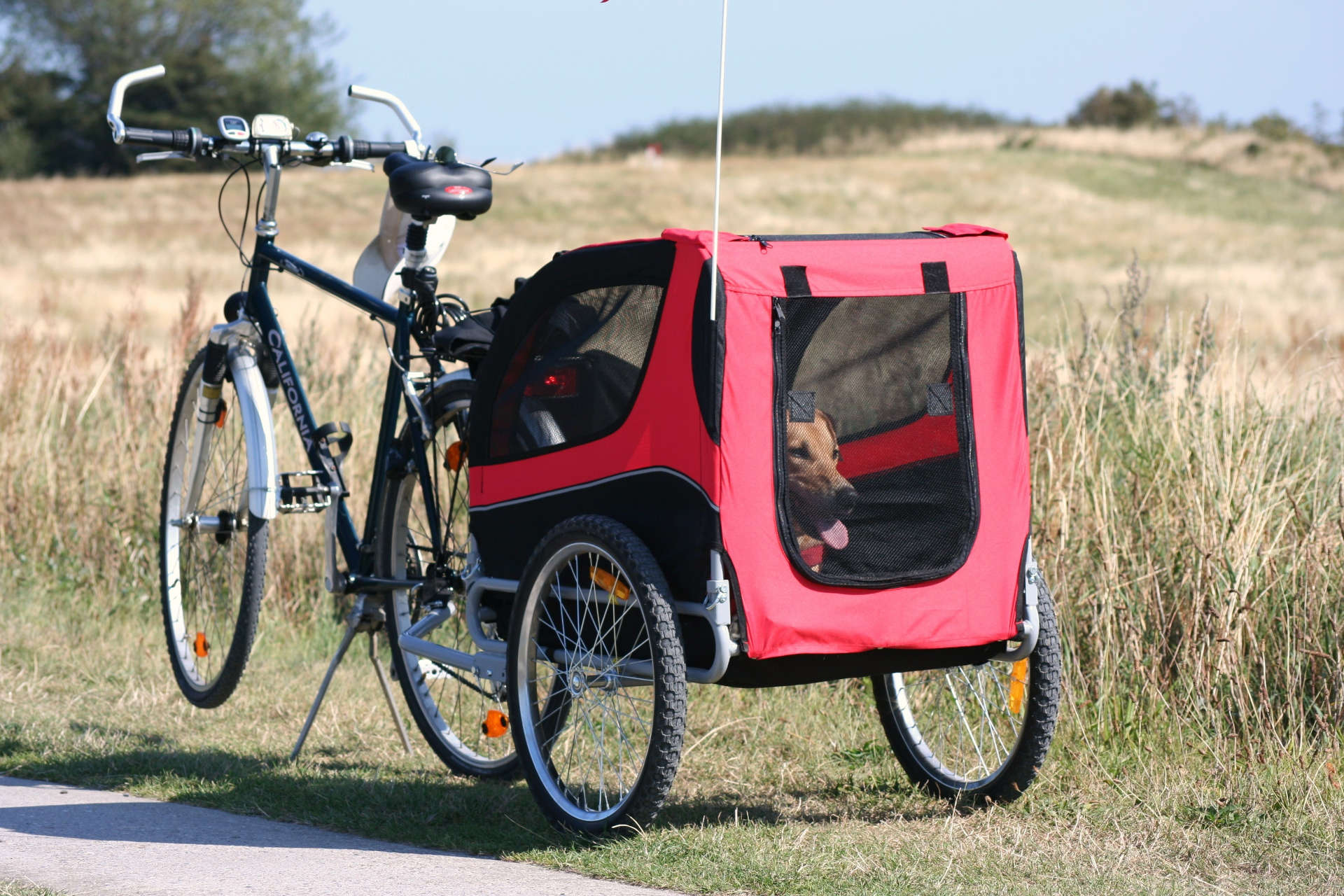 E-Bike mit Anhnger oder Lastenrad  der Direktvergleich