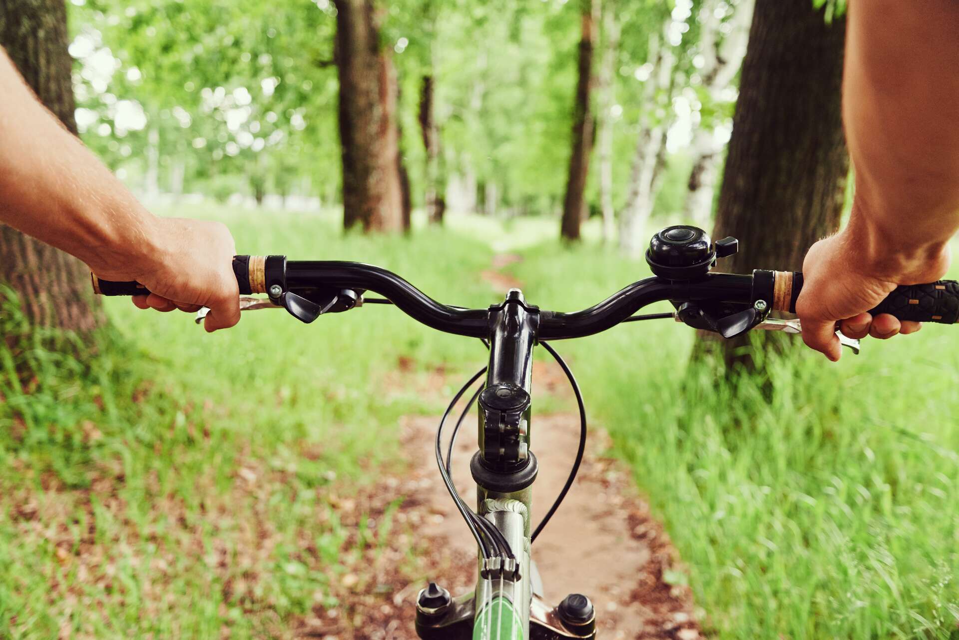 bike gear shifter Shift Lever partner:Faire_UK Farbe:Dark Green Pegasus Premio E8 F Widely used bicycle brake
