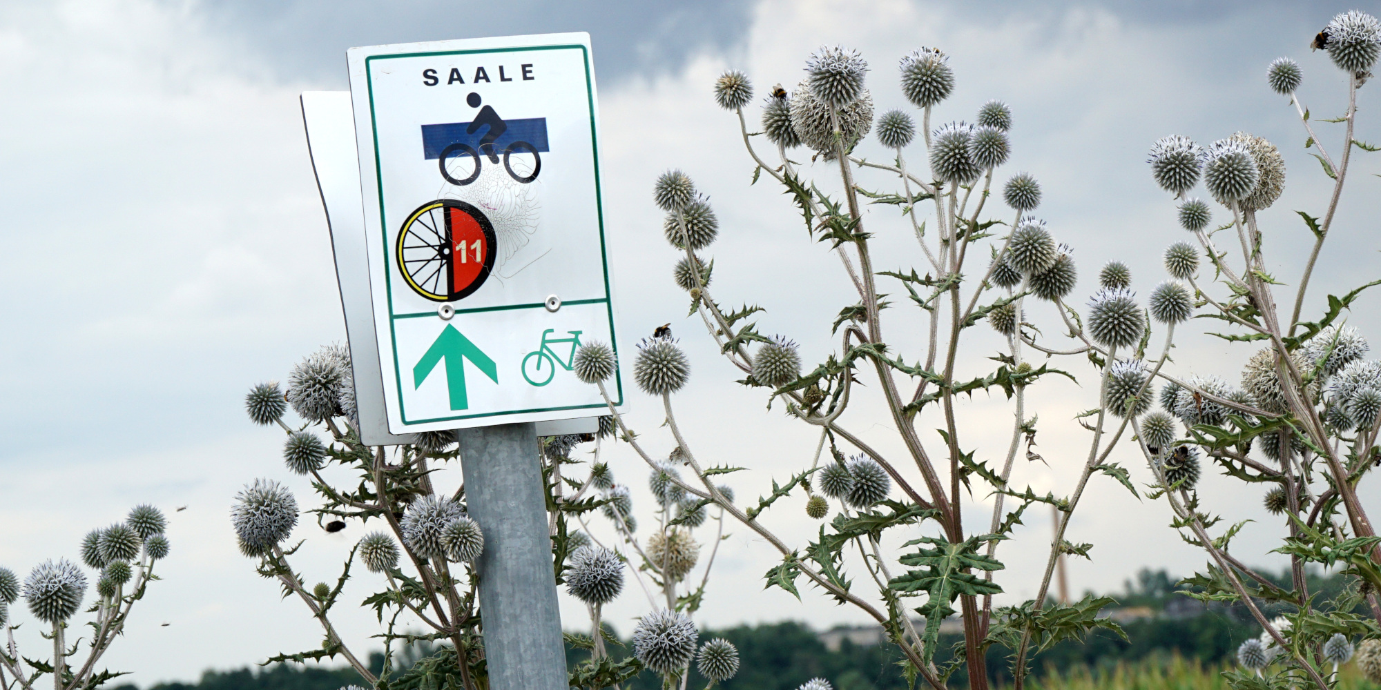 Beschilderung am Saale Radweg 
