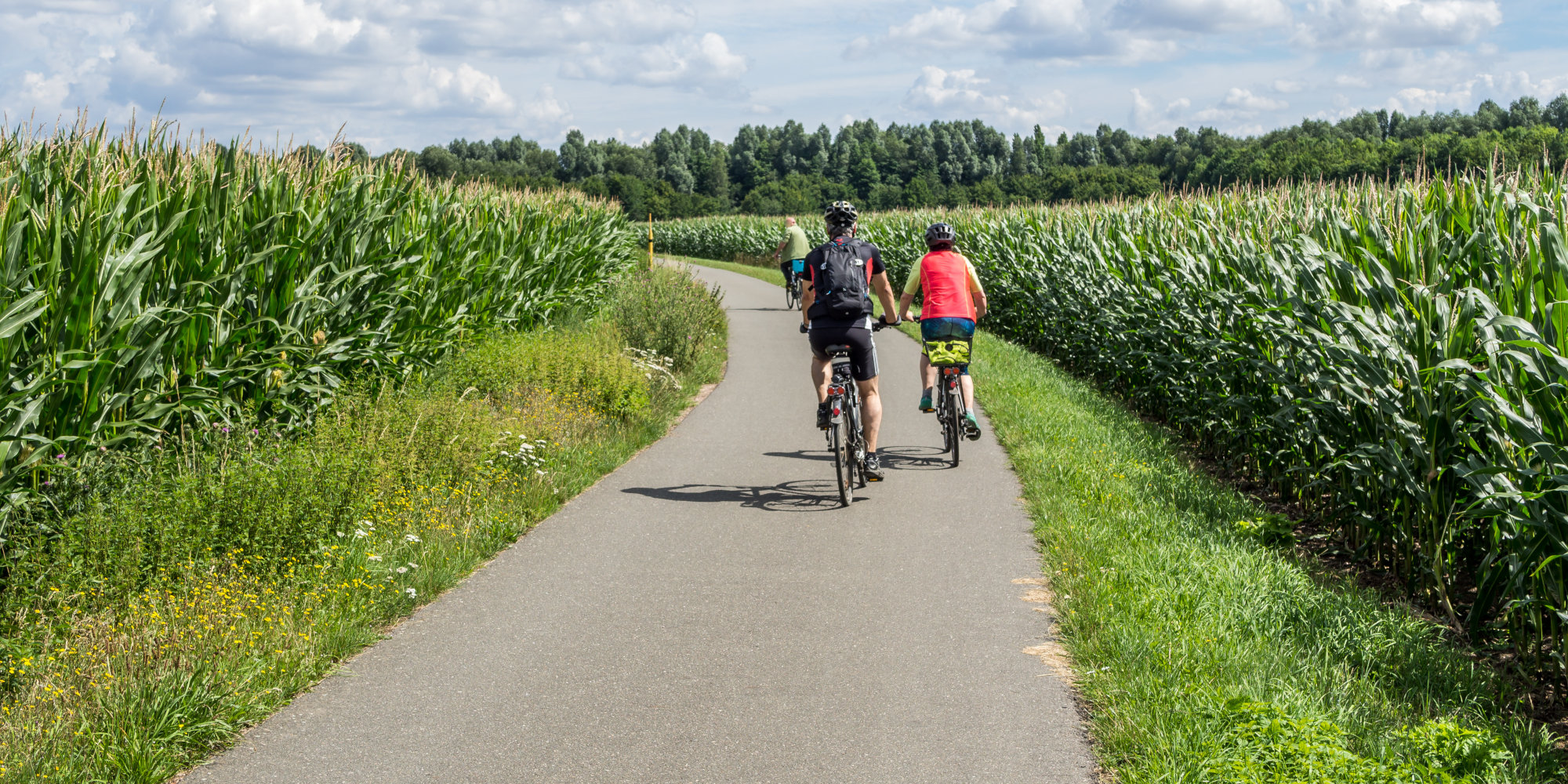 Entdecke die schönsten Radwege in Sachsen Muldental-Radweg in Sachsen