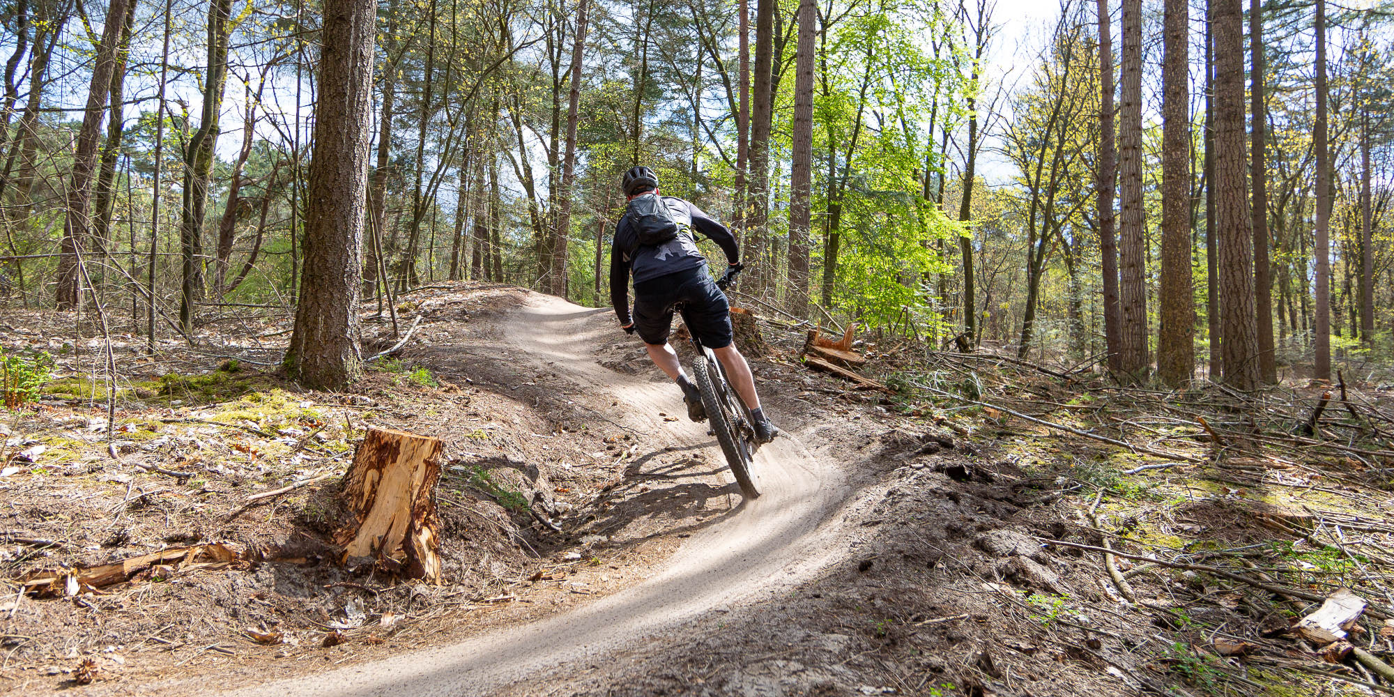 Ein Mountainbiker fährt eine kurvenreiche Strecke im Wald.