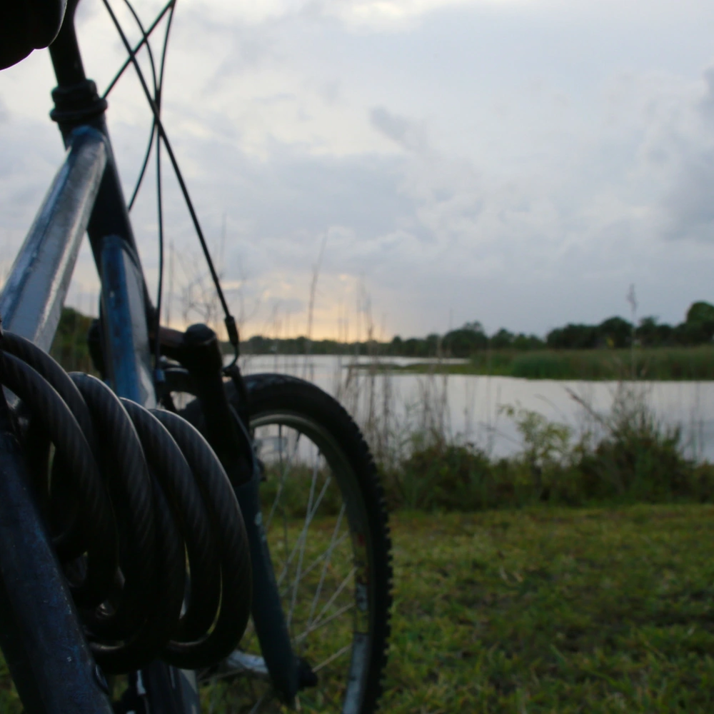 Fahrradlicht mit Blinker an einem Fahrrad, welches in der Natur steht.