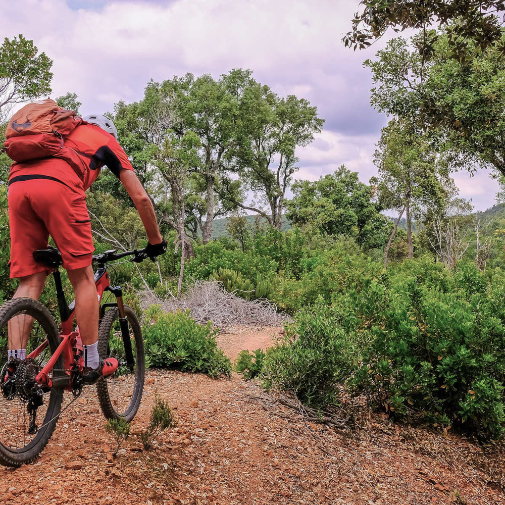 Erkunde mit dem E-Mountainbike die Natur Mann fährt mit einem E-Mountainbike durch die Natur