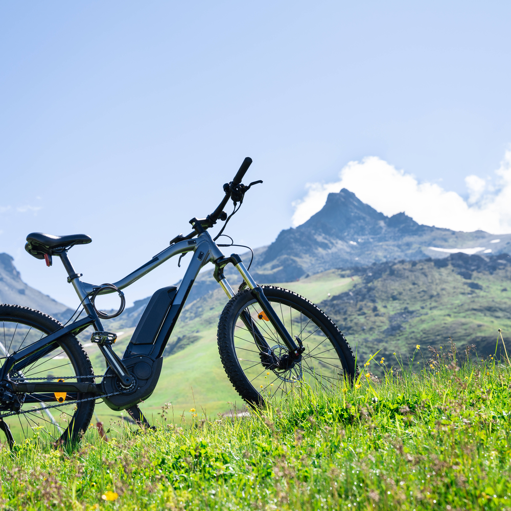 Amprio RMAG Motor - das musst du wissen Ein E-Bike steht auf einer grünen Wiese
