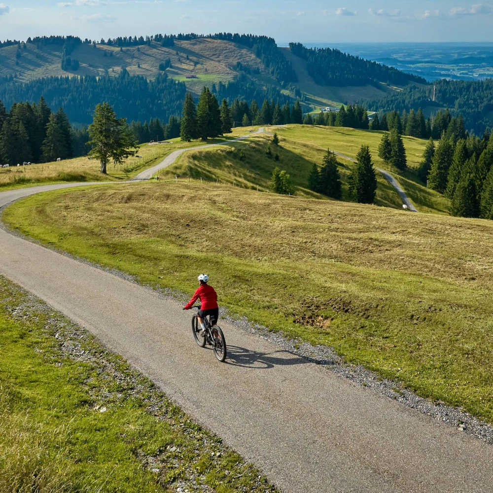 Radfahrer auf abschüssigem Weg durch grüne Hügel und Wälder unter blauem Himmel.