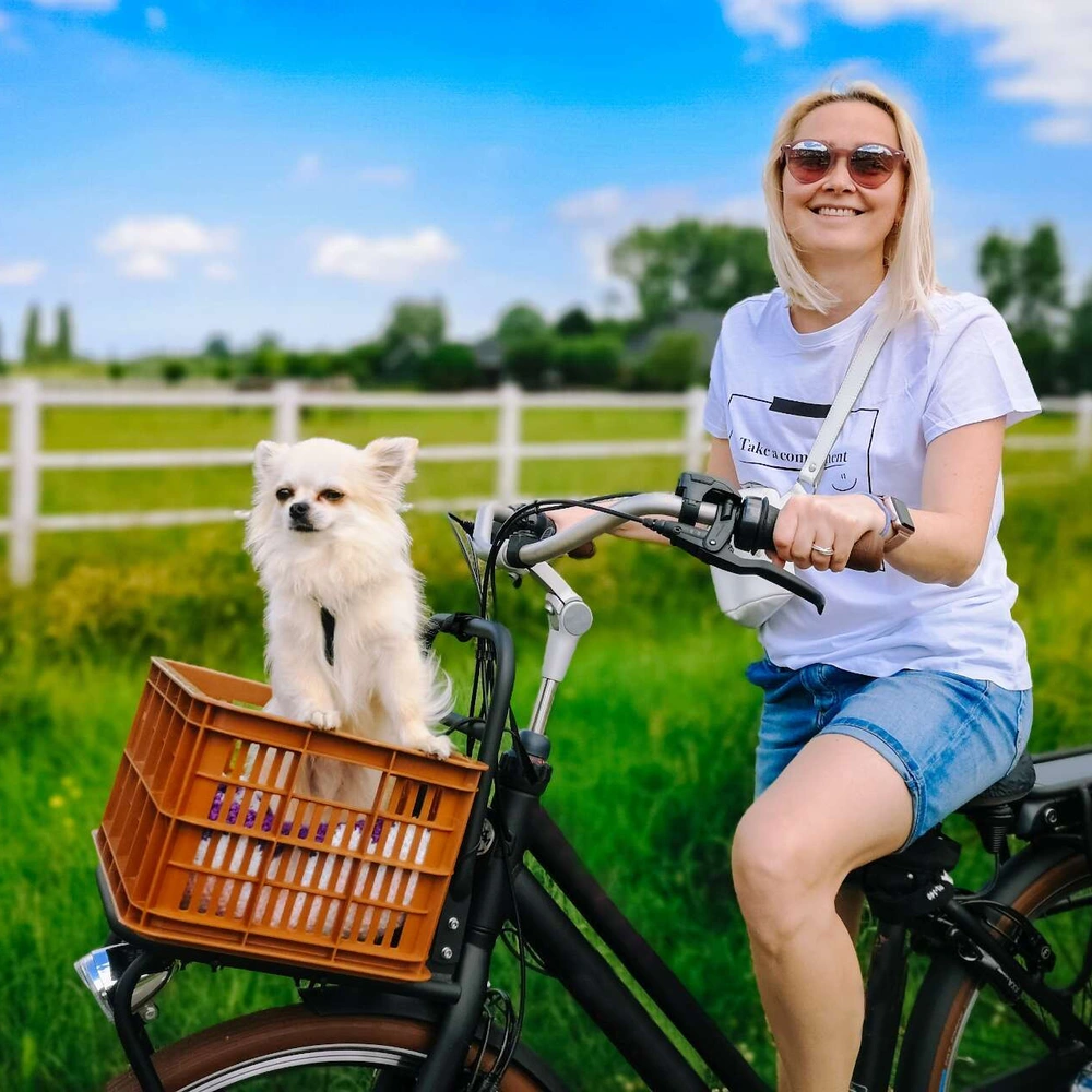 E-Hollandrad Frau auf E-Hollandrad mit kleinem Hund im Korb vor einer grünen Wiese