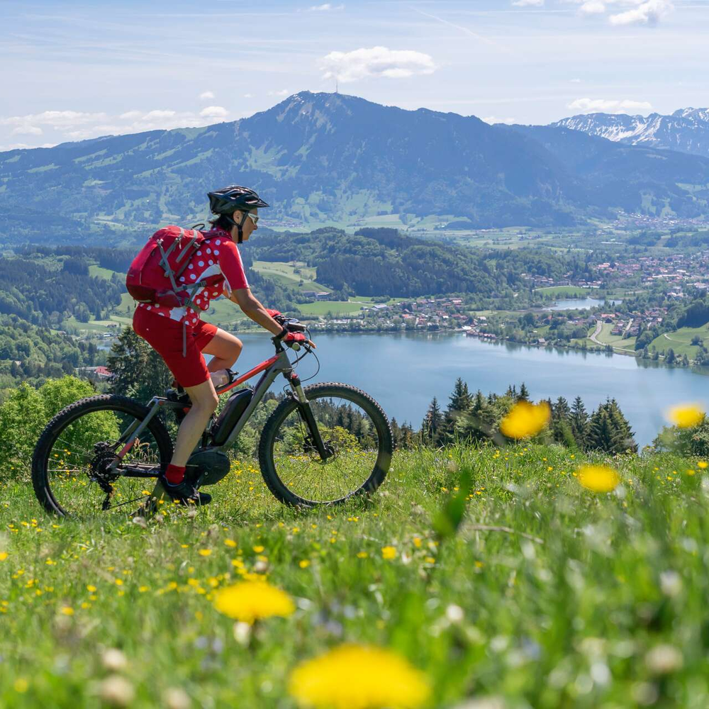 E-Mountainbike E-Mountainbike