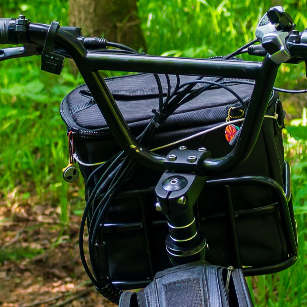 Schwarz lackiertes Fahrrad mit Körbchen, umgeben von üppigem grünen Unterholz.