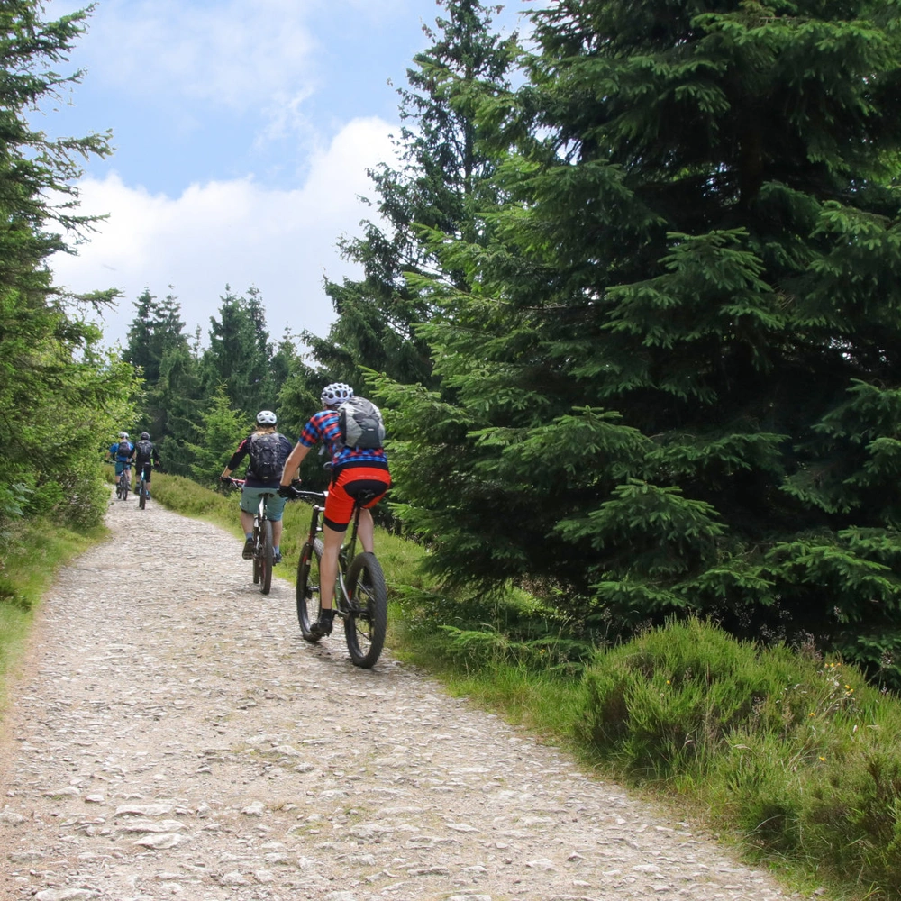 Radfahrende im Nationalpark Harz