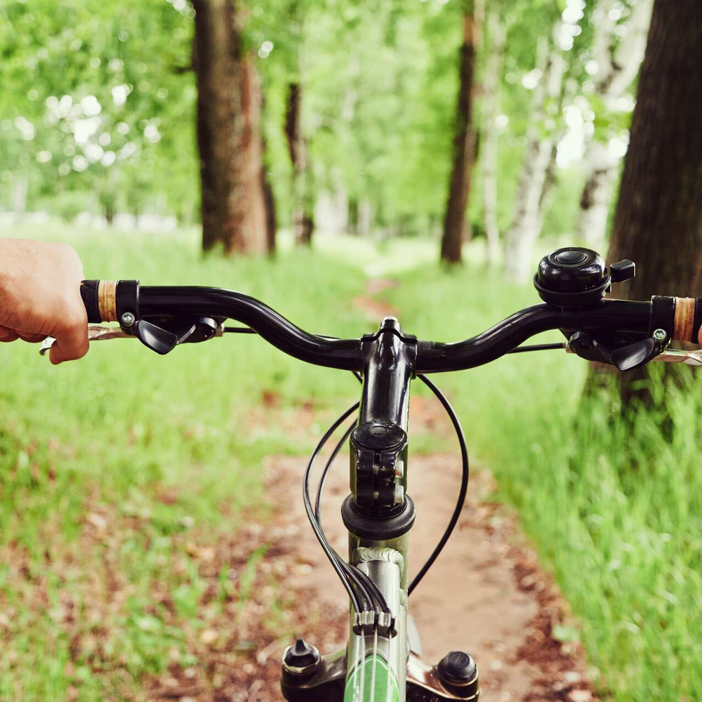 Der Fahrradlenker Ein Fahrradlenrad wird von einer Person im Wald benutzt.