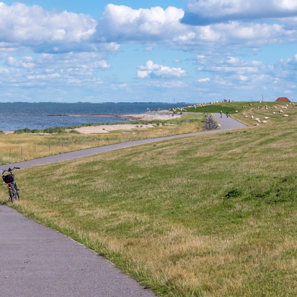 Wanderweg mit grasbewachsenen Hügeln und Blick auf das Wasser unter einem blauen Himmel.