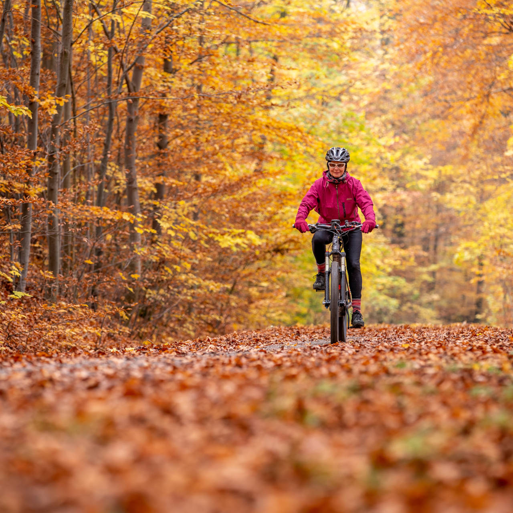Genussradeln im Herbst Person fährt im Herbst Fahrrad