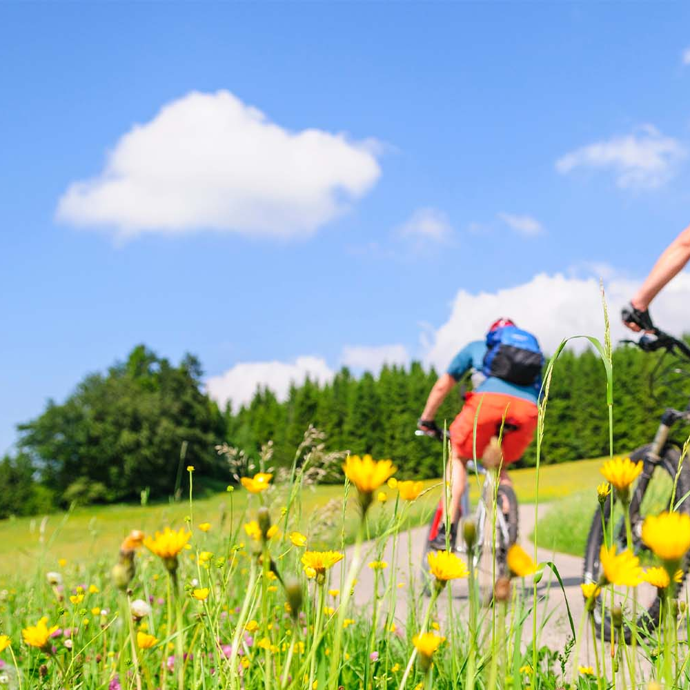 klimafreundliche Mobilität in der Bike-Community Drei Radfahrer fahren durch die Landschaft