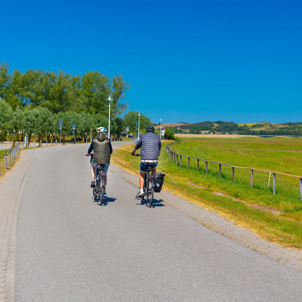 Zwei Radfahrer auf einem sonnigen Weg, umgeben von grünen Feldern und Bäumen.