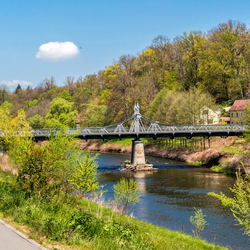 Muldentalradweg Ein Radfahrer fährt an einem Fluss entlang, mit einer Brücke und grünen Bäumen im Hintergrund.