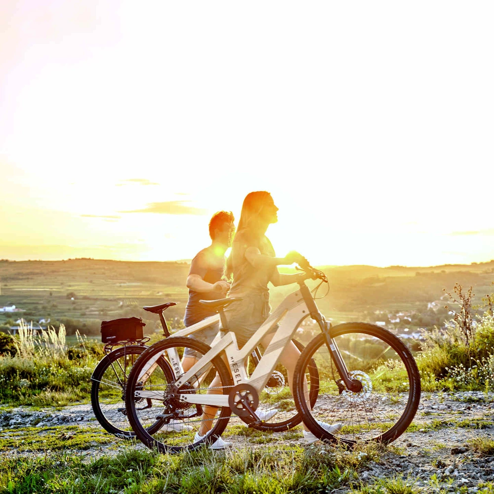 my Esel E-Cross Comfort