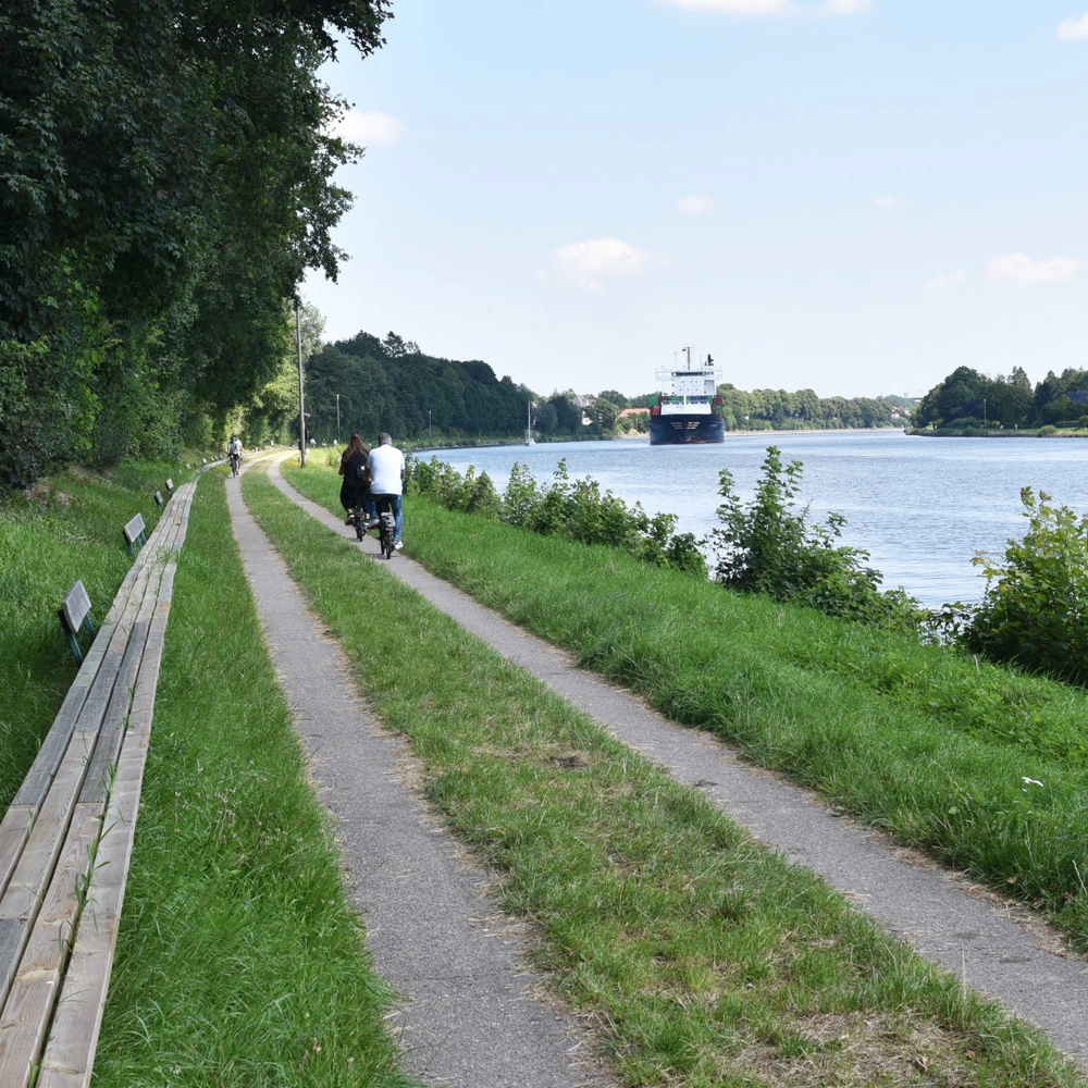 Ein ruhiger Weg entlang eines Flusses, umgeben von Bäumen und Gras.