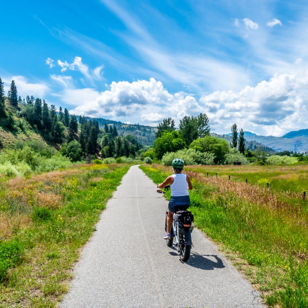 Ein Radfahrer auf einem schmalen Weg, umgeben von grünen Feldern und blauer Himmel.