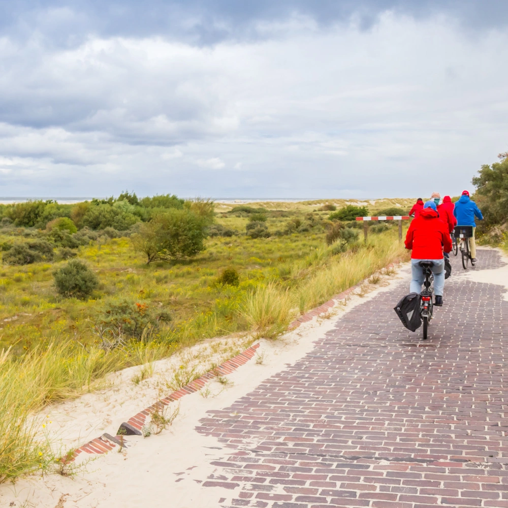 Radfahrer auf einem gepflasterten Weg durch eine grüne Landschaft unter bewölktem Himmel.