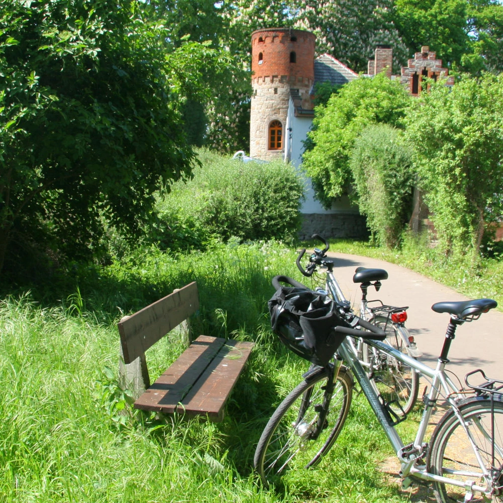 Saaleradweg an der Georgsburg bei Könnern 