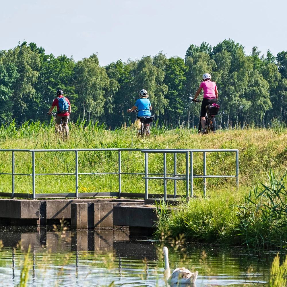 Menschen fahren mit dem Fahrrad durch den Spreewald neben einem Gewässer, umgeben von üppigem Grün.