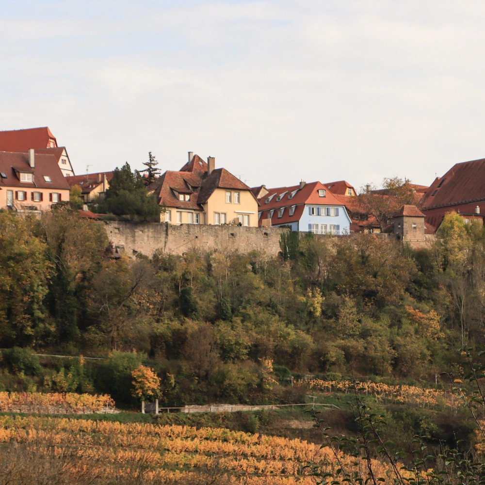 Blick auf eine malerische Stadt mit historischen Gebäuden und sanften Hügeln.