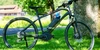 E-Bike verkaufen – was ist dabei zu beachten? Zu verkaufendes E-Bike steht auf Grünfläche vor Baum.