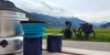 Packliste Fahrradtour und Checkliste Fahrradtour: Der perfekt geplante Radurlaub Fahrrad steht mit Reisegepäck auf einer Wiese.