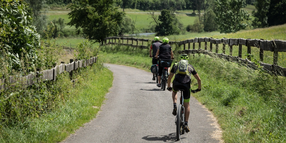 Gruppe Fahrradfahrer auf dem Donauradweg in Baden-Württemberg