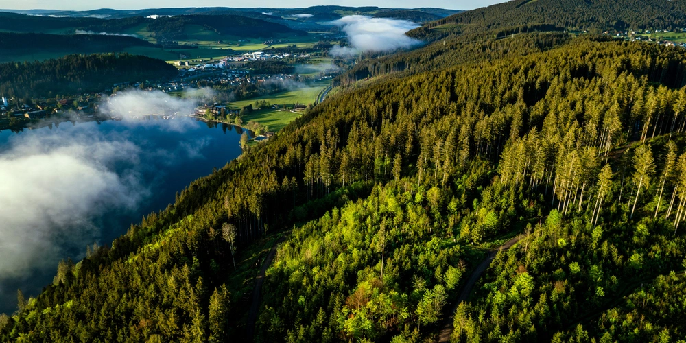 Titisee in Baden Württemberg Luftaufnahme des Titisee in Baden Württemberg mit angrenzenden Wald