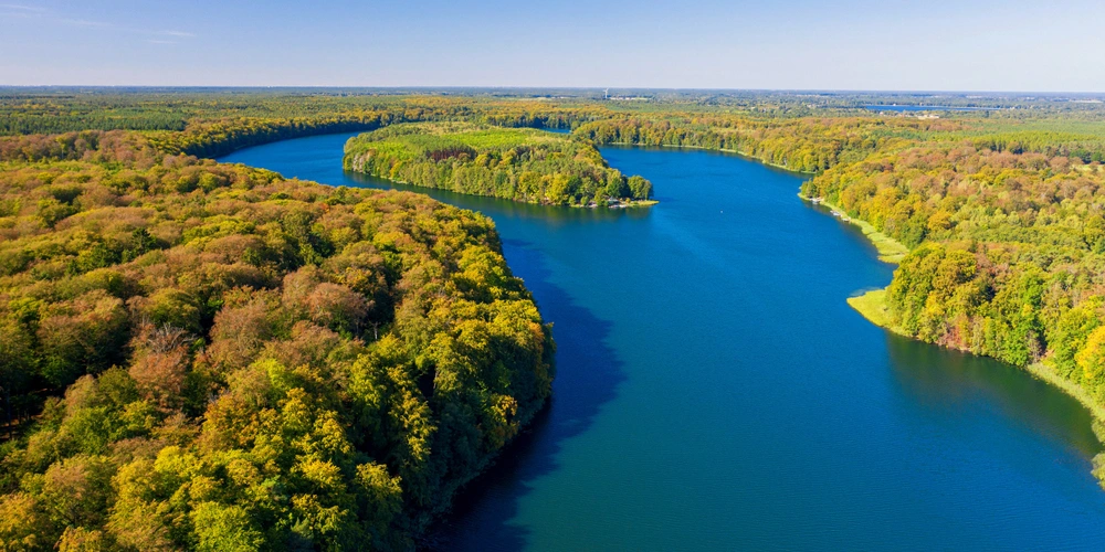 Fluss, der durch grüne Wälder fließt, bei klarem Himmel und strahlendem Sonnenlicht.