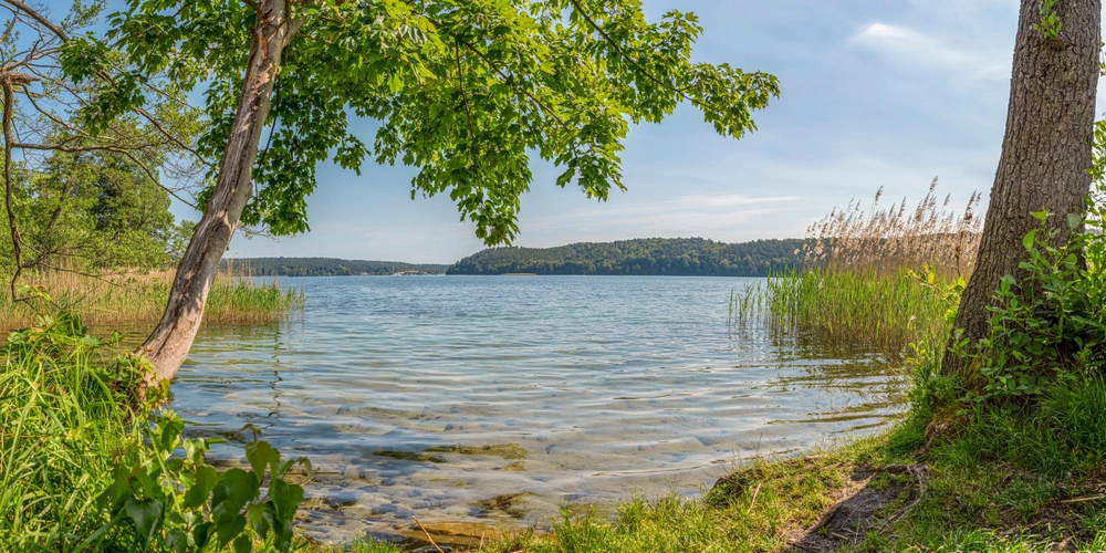 Ruhiger See umgeben von Bäumen und Ufergras, blauer Himmel im Hintergrund.