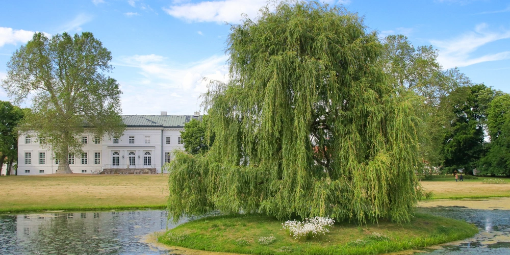 Schloss Neuhardenberg