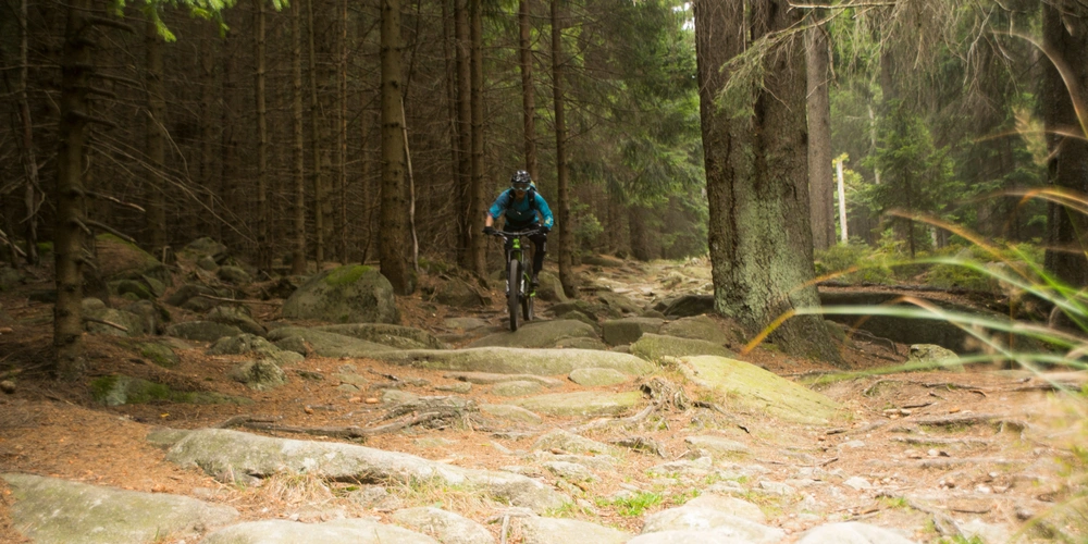 Mountainbiker-Tour im Harz