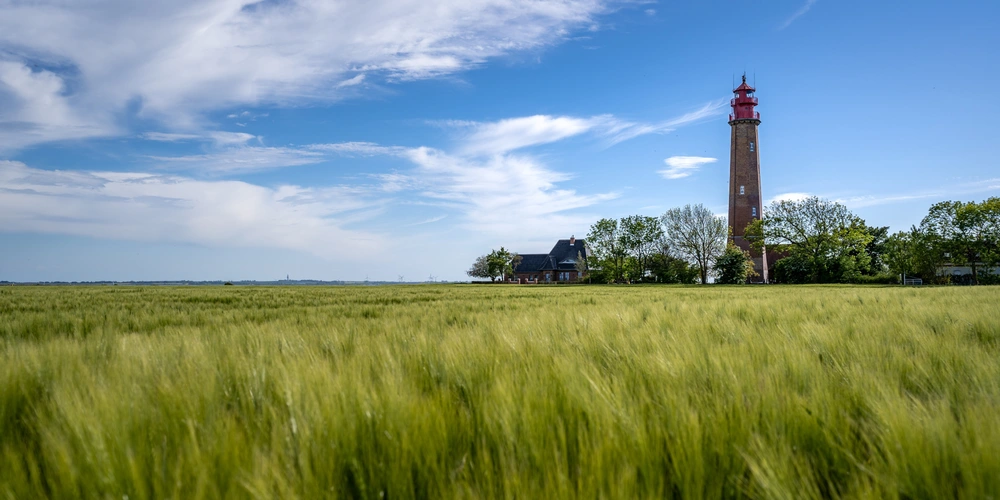 Grünes Feld mit einem Leuchtturm und blauem Himmel im Hintergrund.