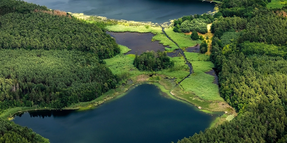 Luftaufnahme einer grünen Landschaft mit Seen und Wäldern.