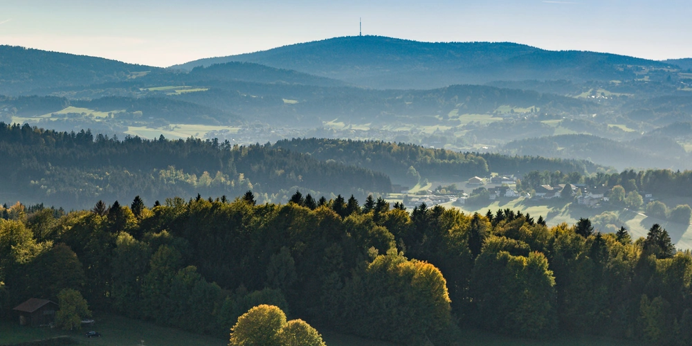 Blick auf hügelige Landschaft mit Wäldern und sanften Tälern im Morgenlicht.