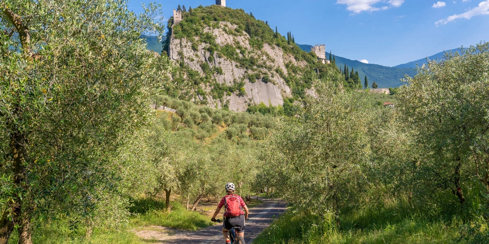 Radfahrer auf einem Weg zwischen Olivenbäumen, im Hintergrund eine Burg auf einem Hügel.