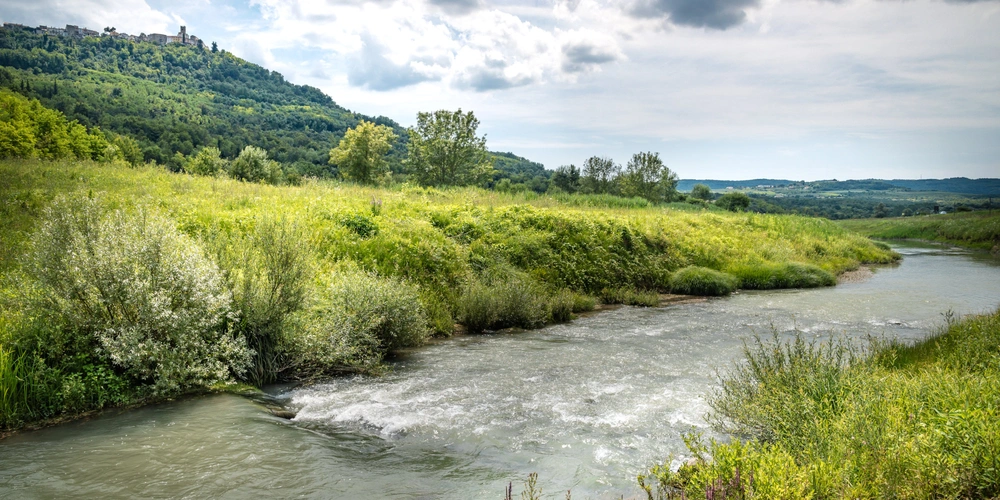 Ein ruhiger Fluss fließt durch eine grüne Landschaft unter einem bewölkten Himmel.