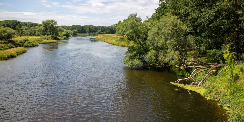 Ein ruhiger Fluss umgeben von grünen Ufern und Bäumen unter blauem Himmel.