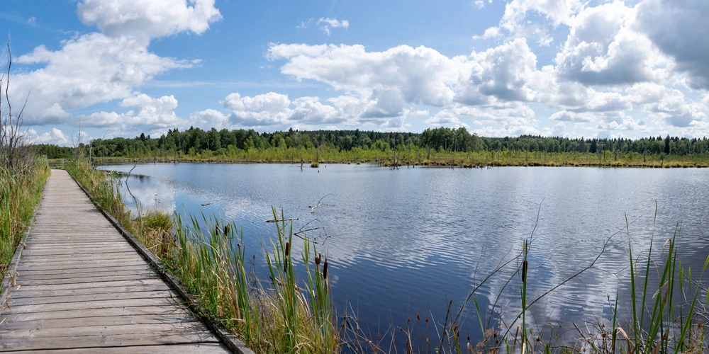 Holzsteg entlang eines ruhigen Gewässers unter einem klaren blauen Himmel.