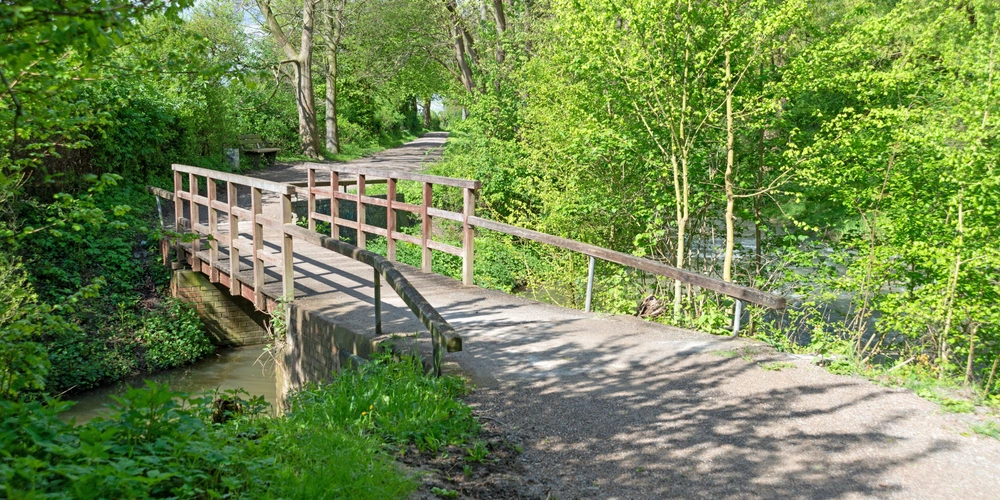 Holzbrücke über einen kleinen Fluss, umgeben von grünen Bäumen und Pflanzen.