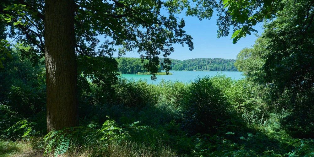 Märkischen Schweiz rund um den Schermüzelsee 