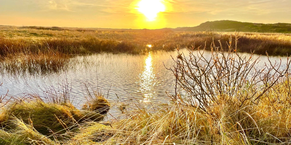 Sonnenuntergang über einem ruhigen Gewässer im Grasland.
