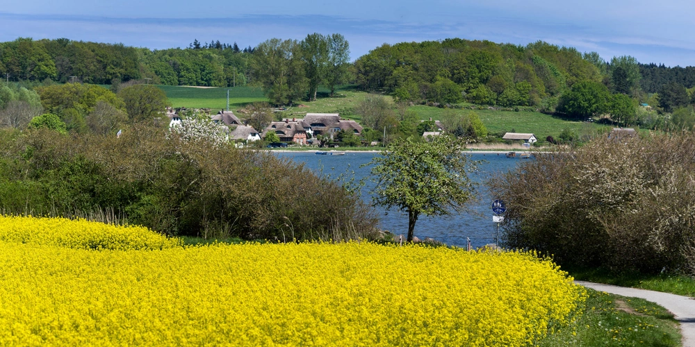 Radweg am Bodden auf Rügen
