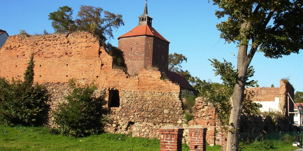 Ruine mit Turm und Mauerwerk, umgeben von Bäumen und grünem Gras.
